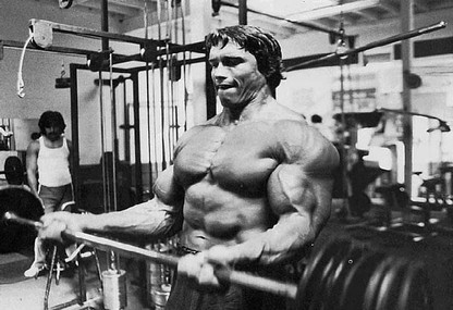 Arnold Schwarzenegger wallpapers HD Arnold schwarzenegger Mr olympia Culturismo masculino